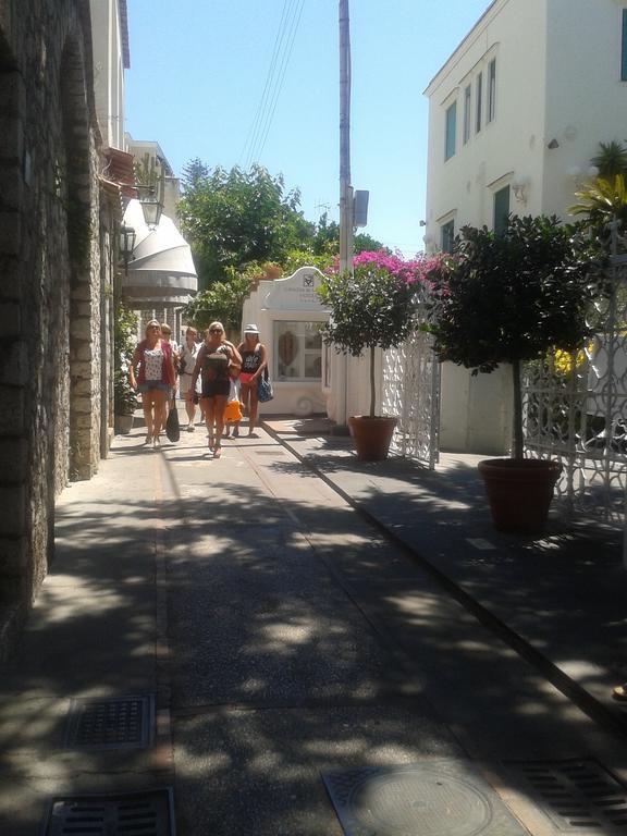 Villa Apollo B&B Capri Dış mekan fotoğraf