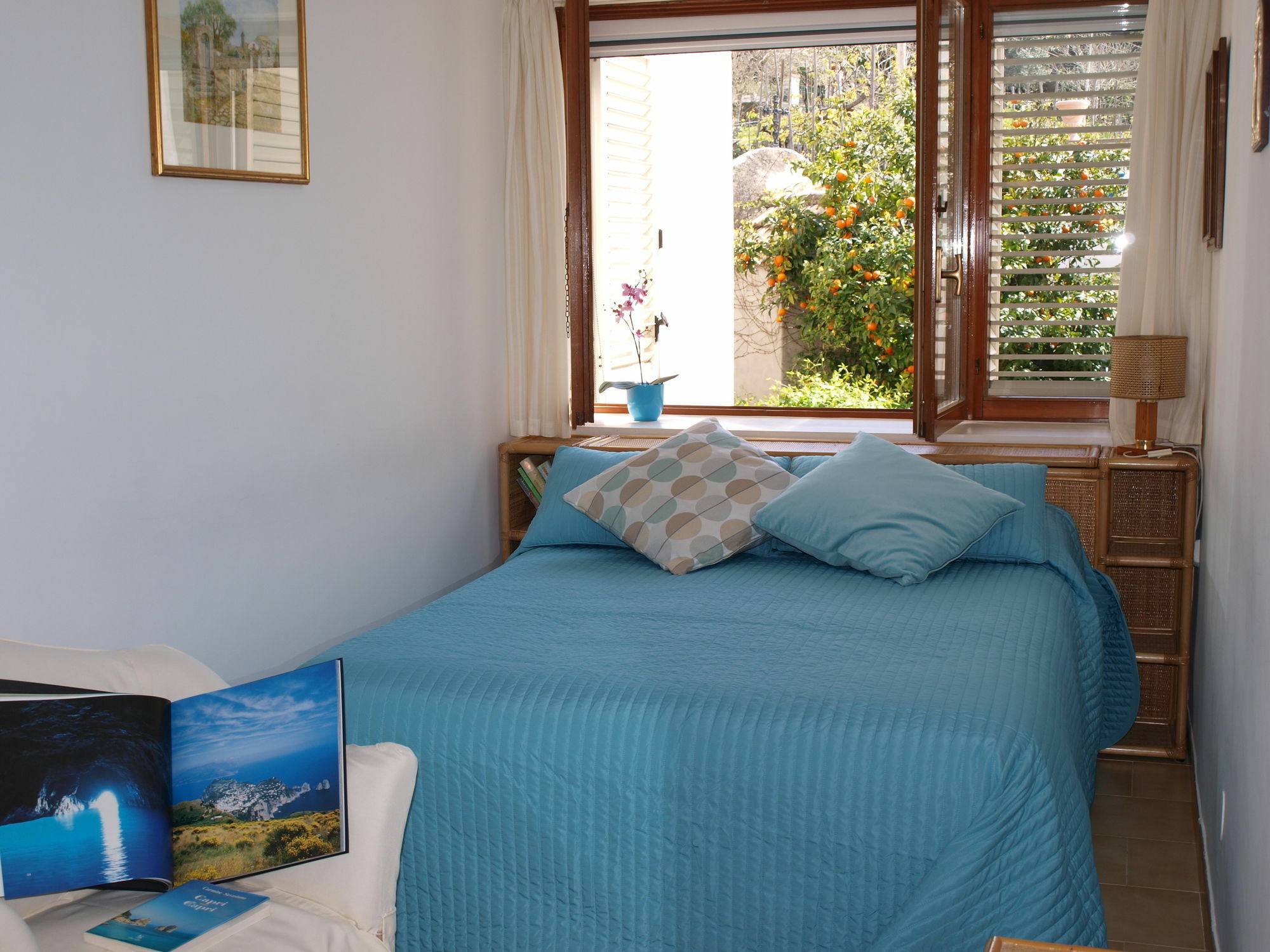 Villa Apollo B&B Capri Dış mekan fotoğraf