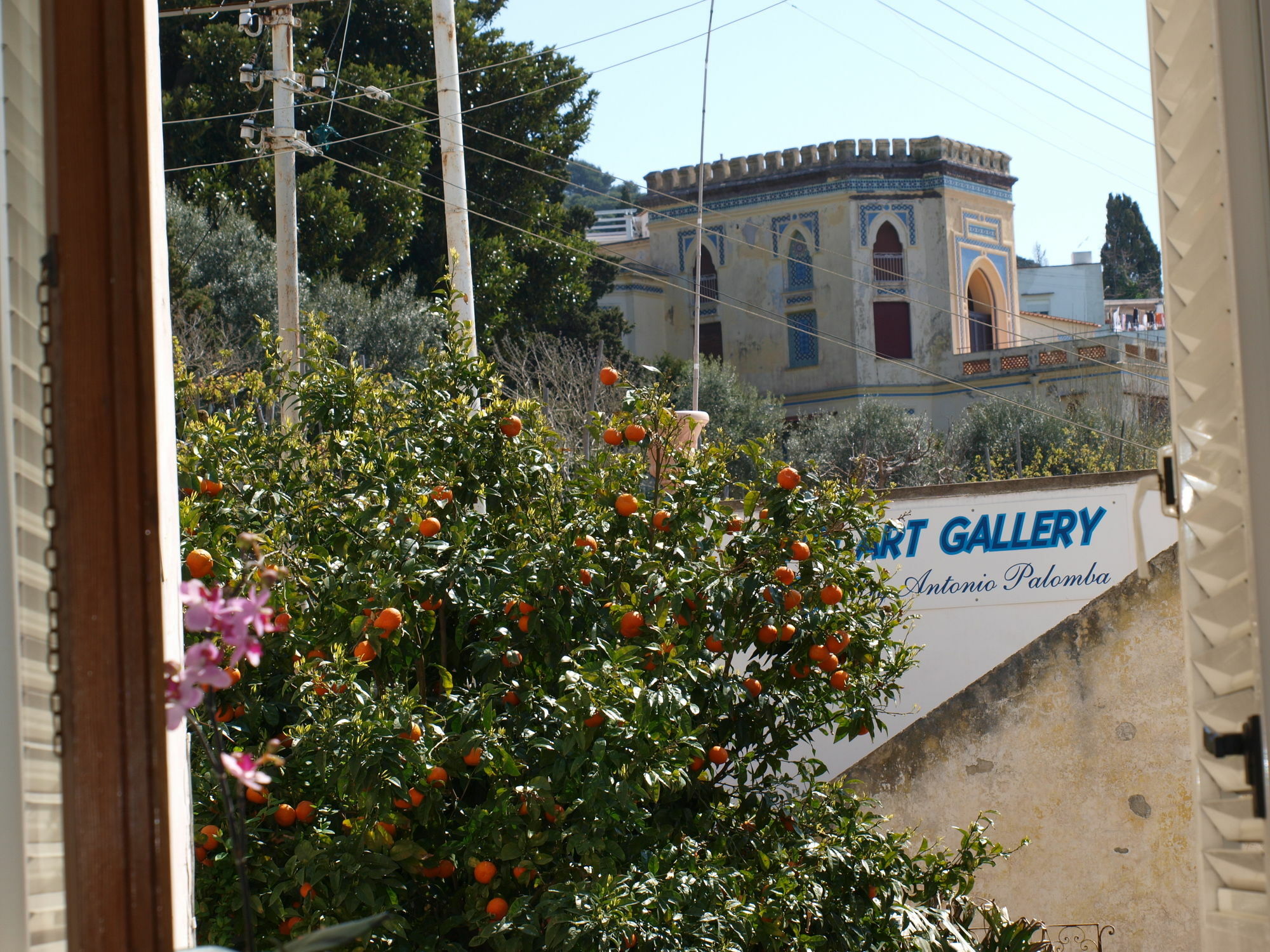 Villa Apollo B&B Capri Dış mekan fotoğraf